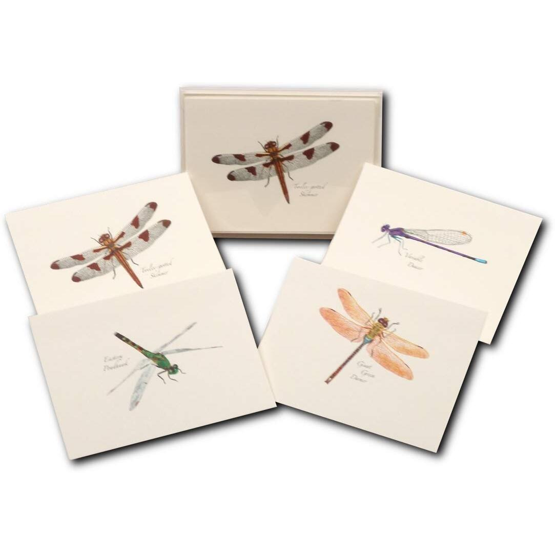 Steven M Lewers & Associates LEWERSNc25 Dragonfly & Damselfly Notecard Assortment (2 each of 4 styles)