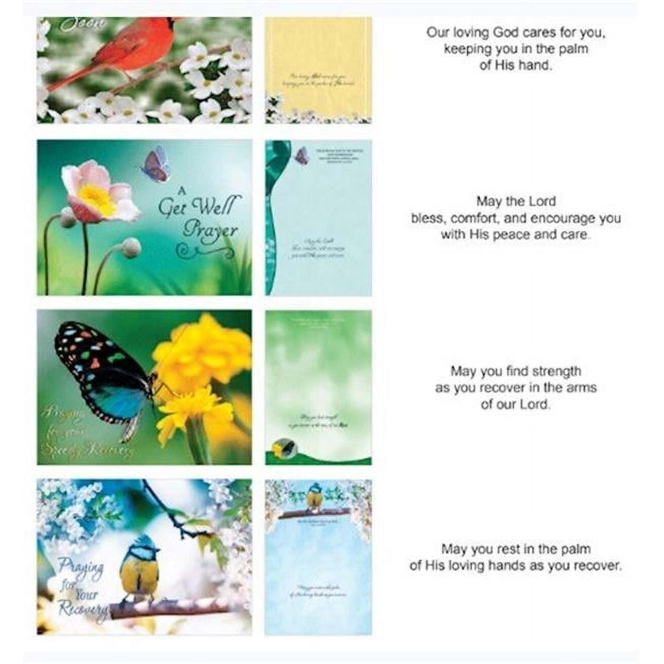 crown Point graphics 169552 Shared Blessings get Well Birds & Butterflies Boxed card - 12 per Box