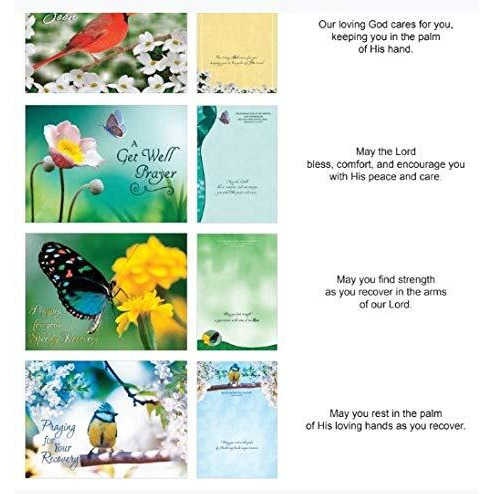 crown Point graphics 169552 Shared Blessings get Well Birds & Butterflies Boxed card - 12 per Box