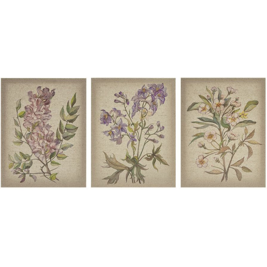 Linen Botanicals Illustration 3-piece canvas Wall Art Set(D0102H5TDcP)