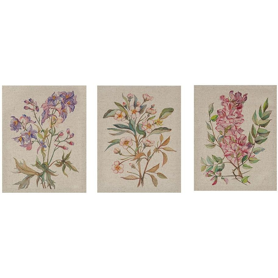 Linen Botanicals Illustration 3-piece canvas Wall Art Set(D0102H5TDcP)