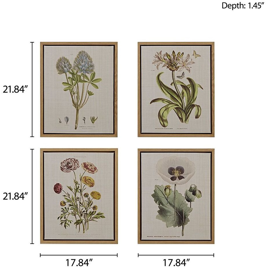 Herbal Botany 4-piece Botanical Illustration Framed canvas Wall Art Set(D0102HR7YTP)