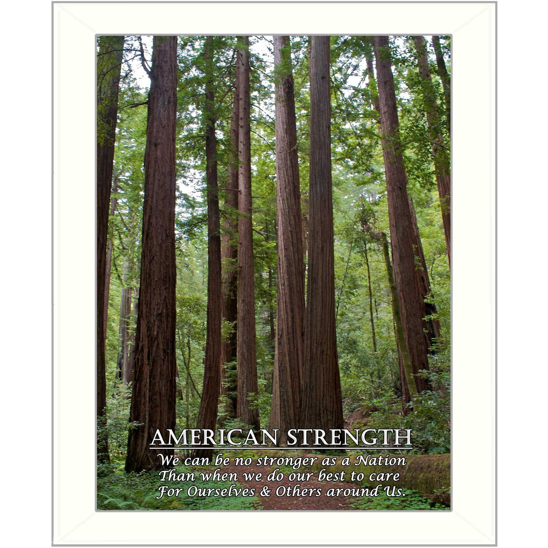 American Strength 4 White Framed Print Wall Art