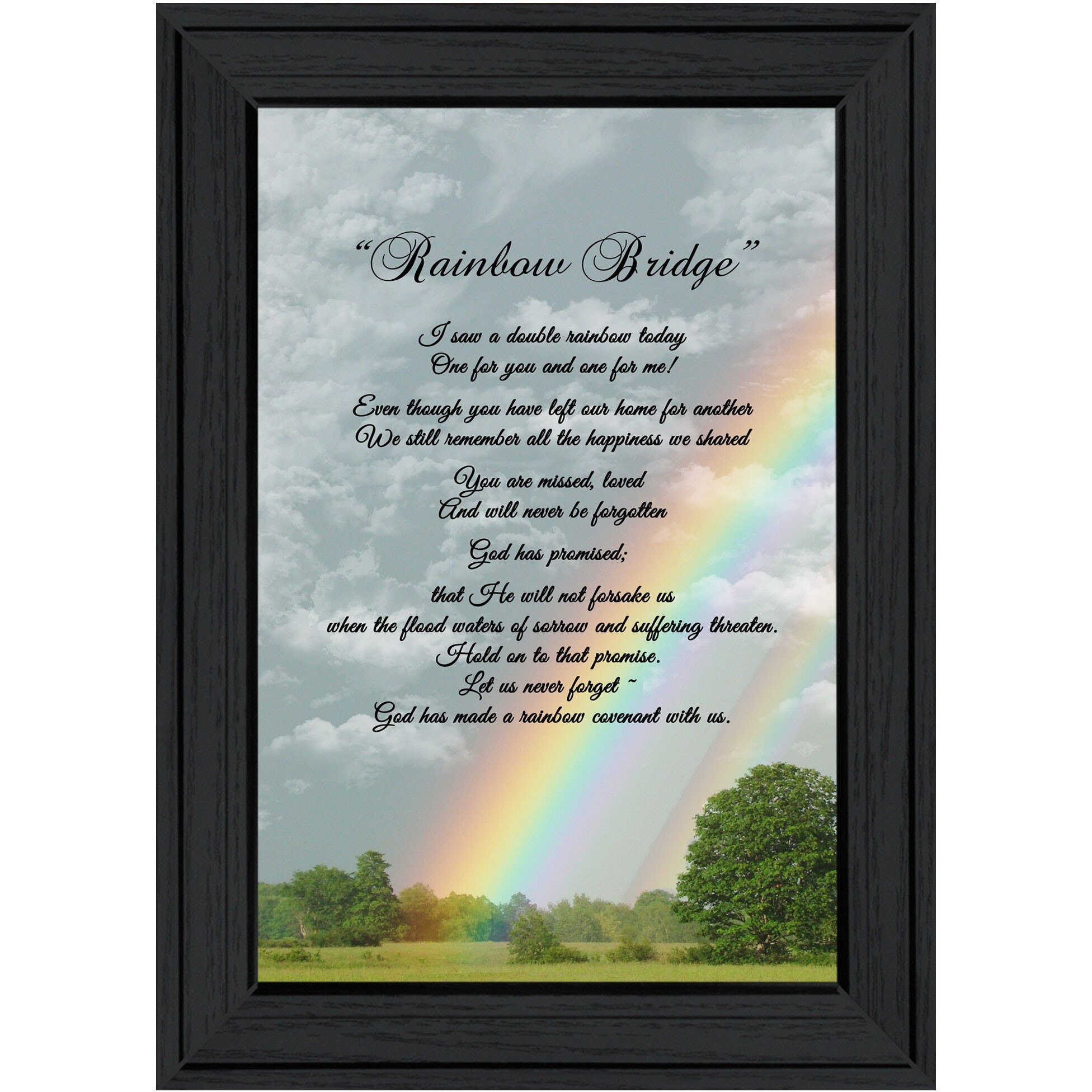 Rainbow Bridge 3 Black Framed Print Wall Art