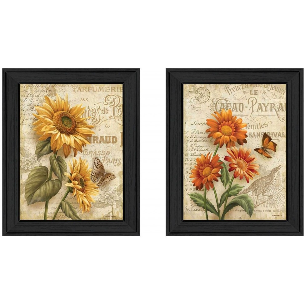 Set Of Two Flowers 2 Black Framed Print Wall Art