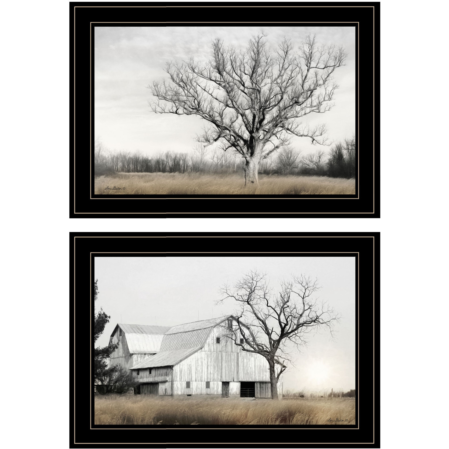 Set Of Two Ohio Fields I 2 Black Framed Print Wall Art