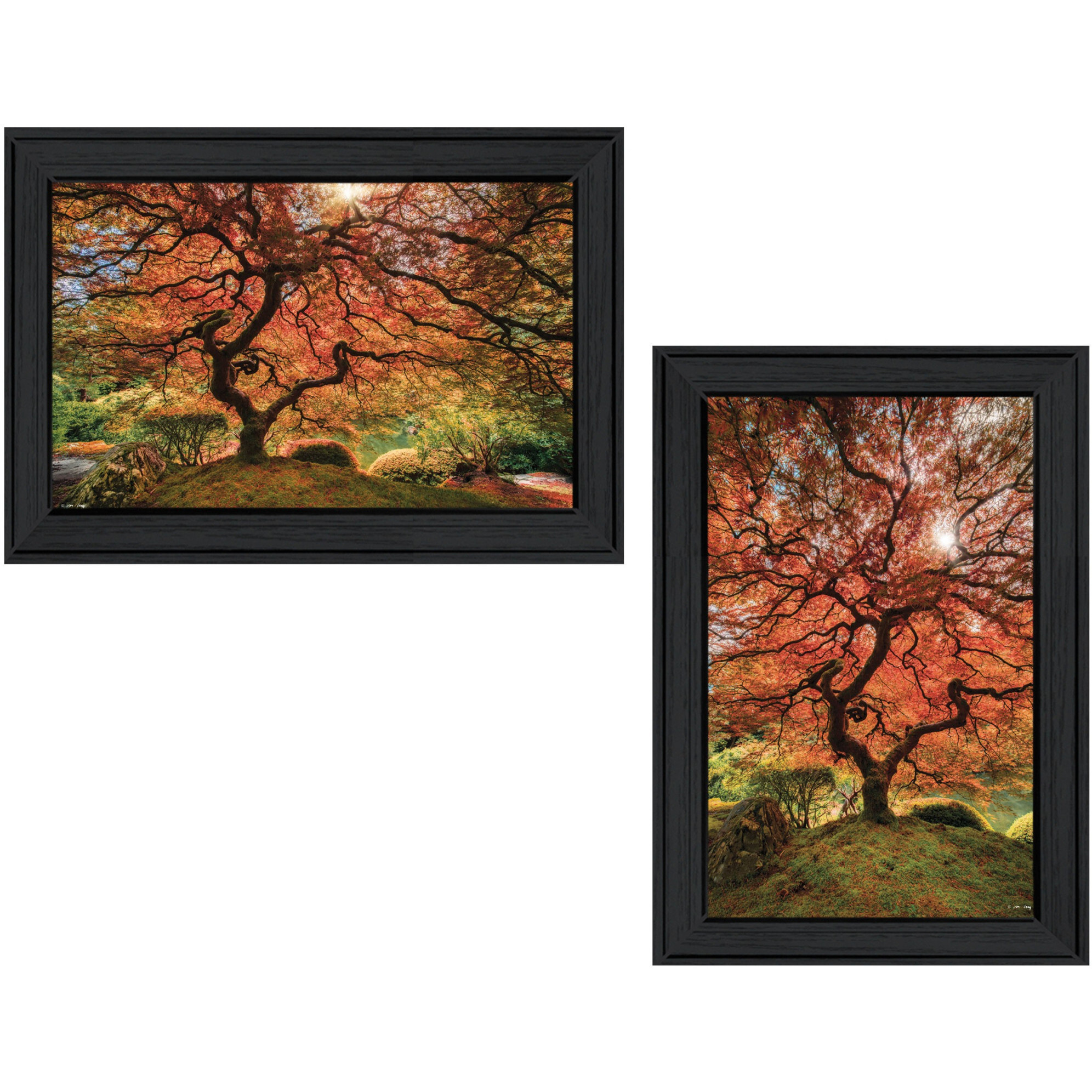 Set Of Two First colors Of Fall Ii Black Framed Print Wall Art
