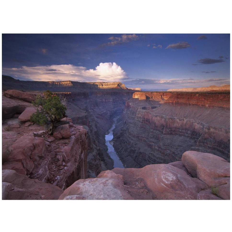 Colorado River from Toroweap Overlook, Grand Canyon National Park, Arizona-Paper Art-42&quotx32"