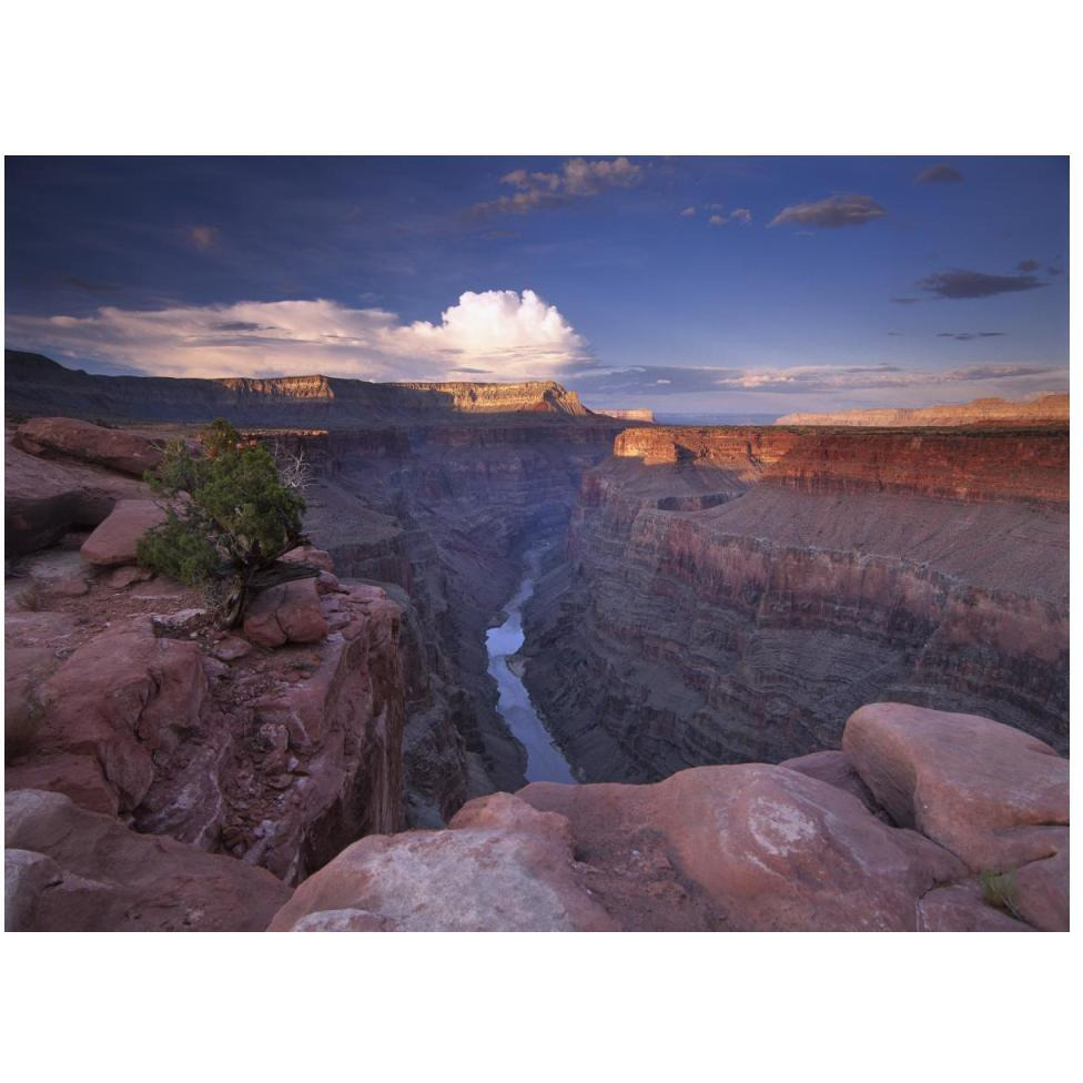 Colorado River from Toroweap Overlook, Grand Canyon National Park, Arizona-Paper Art-50&quotx38"
