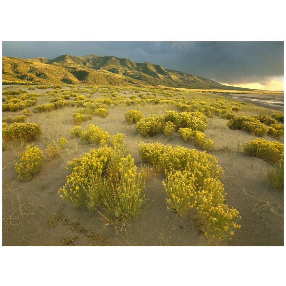 Sangre de Cristo Mountains at Great Sand Dunes National Monument, Colorado-Paper Art-42&quotx32"