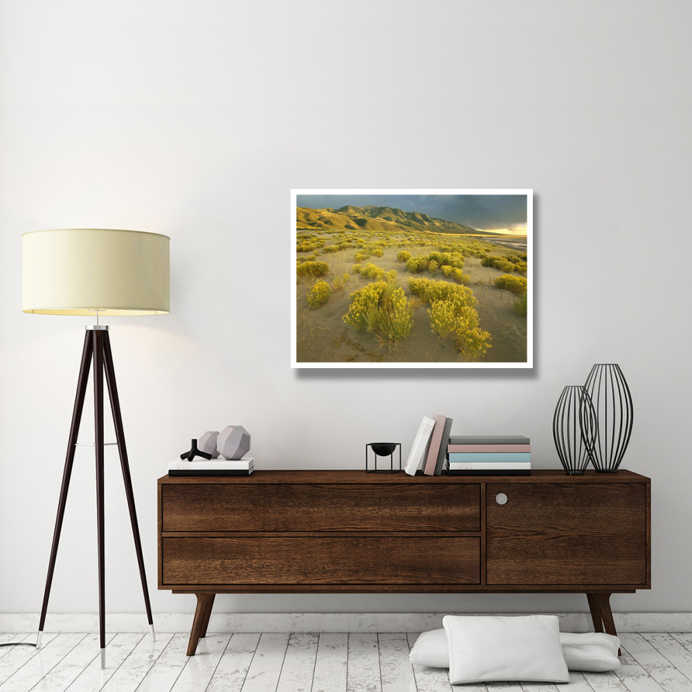 Sangre de Cristo Mountains at Great Sand Dunes National Monument, Colorado-Paper Art-42&quotx32"
