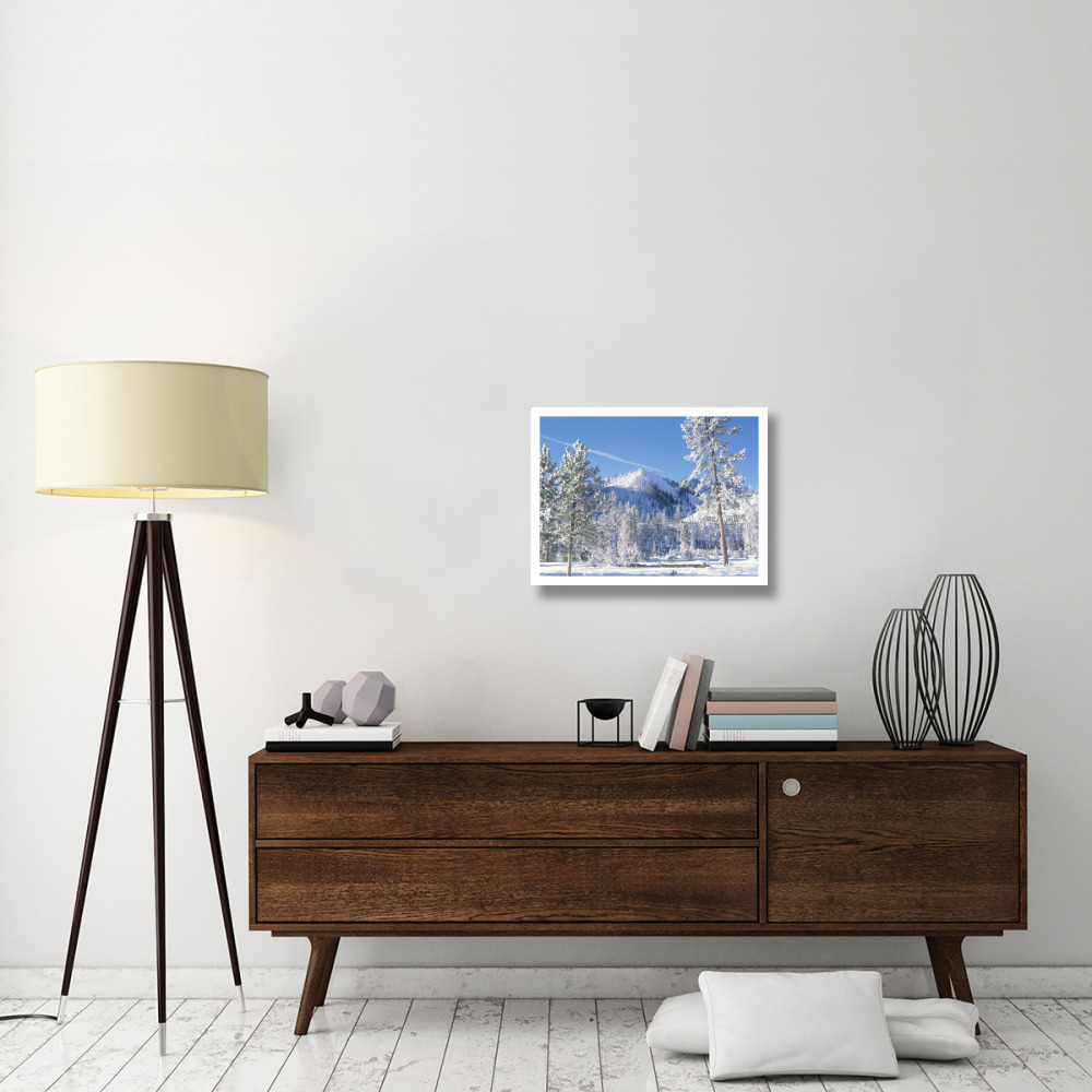 Pine trees covered with snow in winter, Yellowstone National Park, Wyoming-Paper Art-26&quotx20"