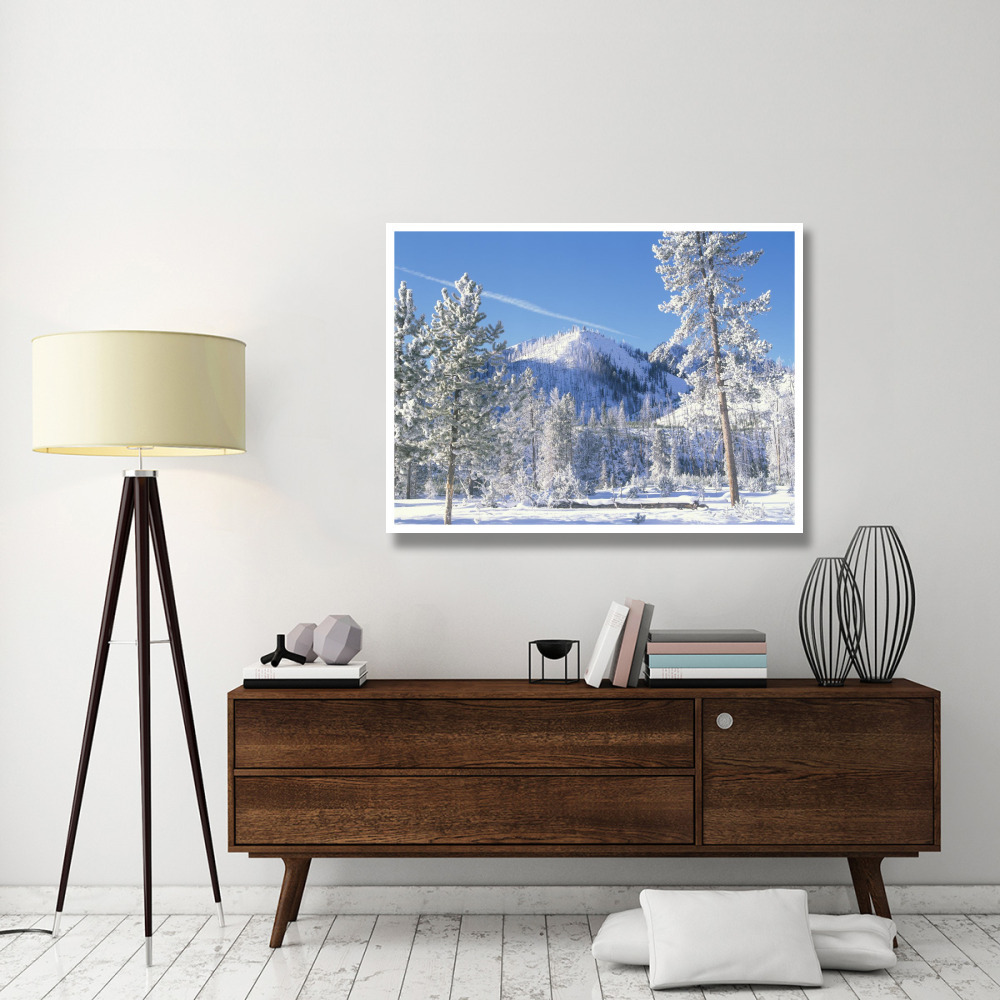 Pine trees covered with snow in winter, Yellowstone National Park, Wyoming-Paper Art-50&quotx38"