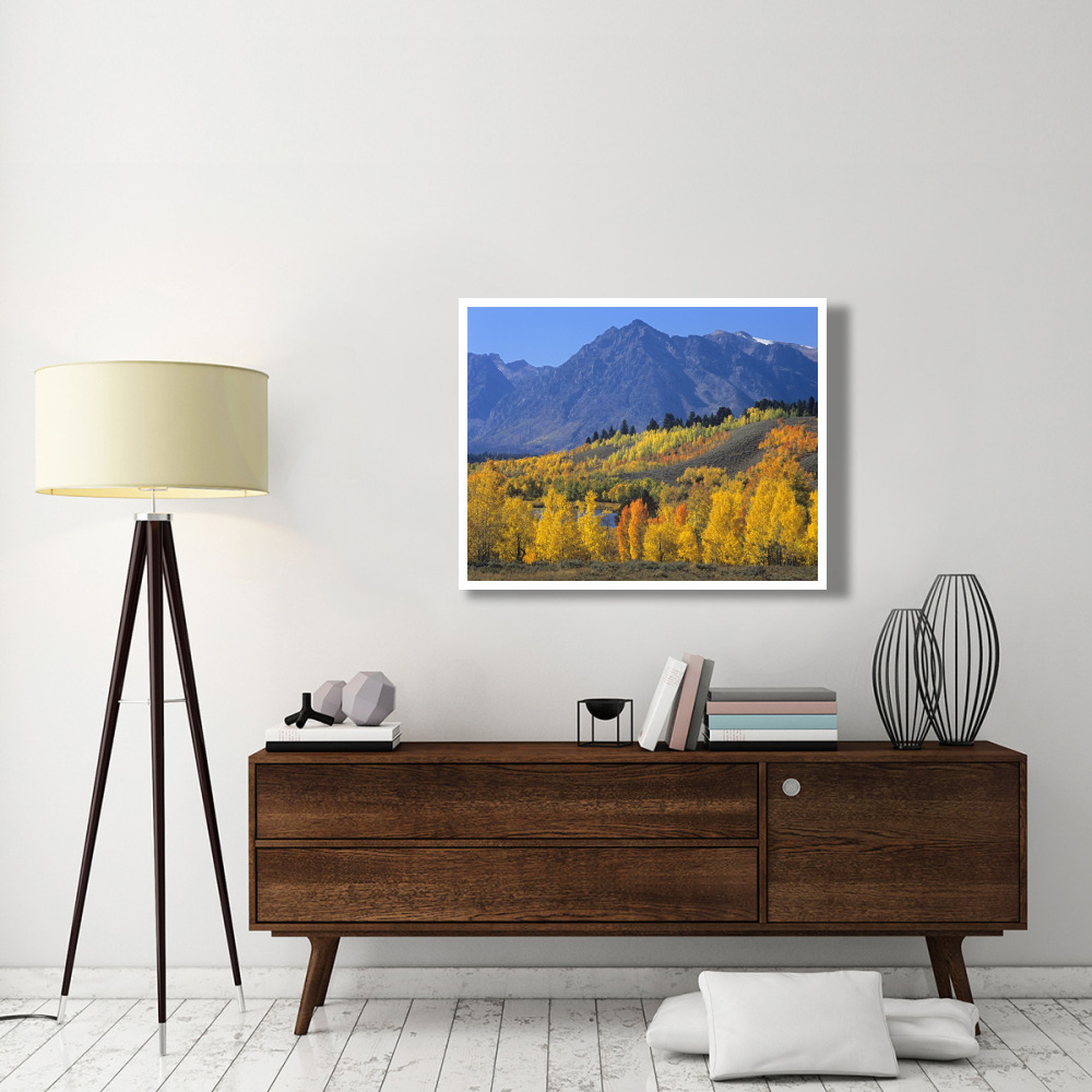 Ranger Peak and Aspen forest in autumn, Grand Teton National Park, Wyoming-Paper Art-42&quotx32"