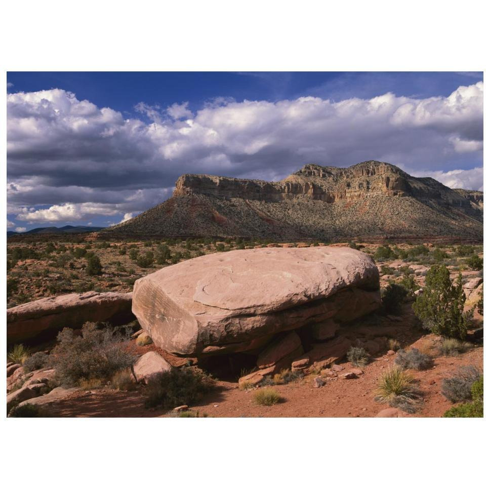 Vulcan's Throne from Toroweep Overlook, Grand Canyon National Park, Arizona-Paper Art-18&quotx14"