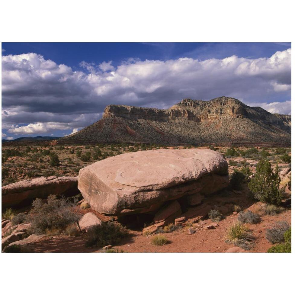 Vulcan's Throne from Toroweep Overlook, Grand Canyon National Park, Arizona-Paper Art-50&quotx38"