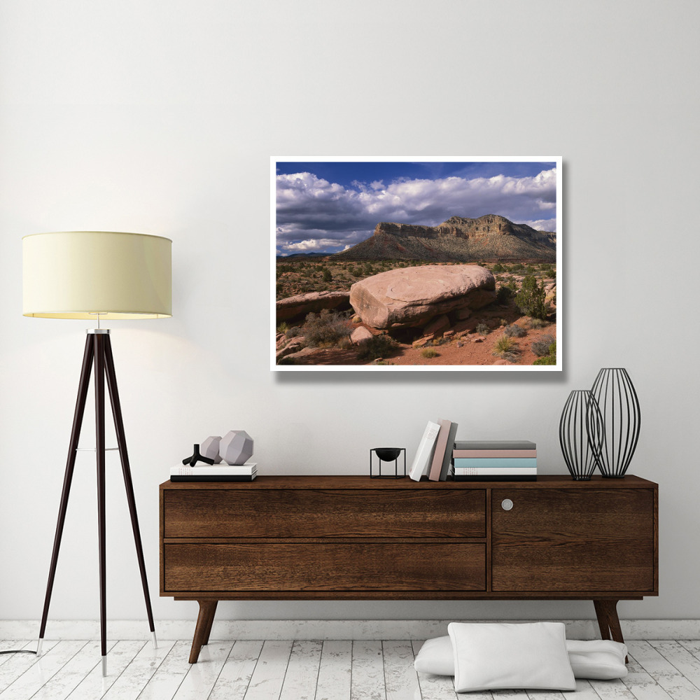 Vulcan's Throne from Toroweep Overlook, Grand Canyon National Park, Arizona-Paper Art-50&quotx38"