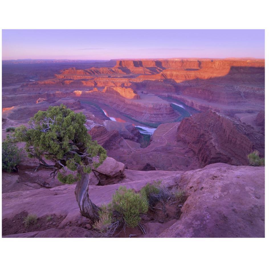 Colorado River flowing through canyons of Dead Horse Point State Park, Utah-Paper Art-26&quotx22"