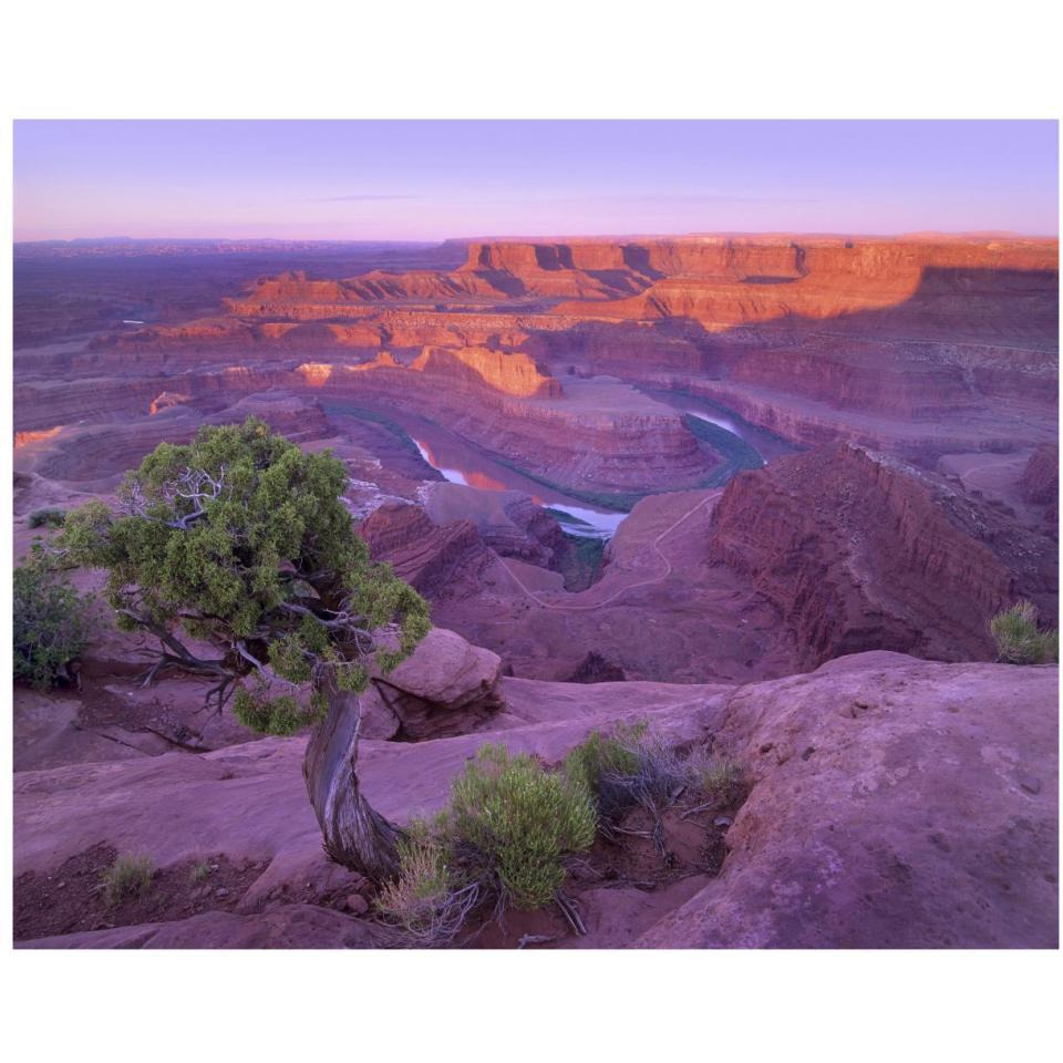 Colorado River flowing through canyons of Dead Horse Point State Park, Utah-Paper Art-37&quotx30"