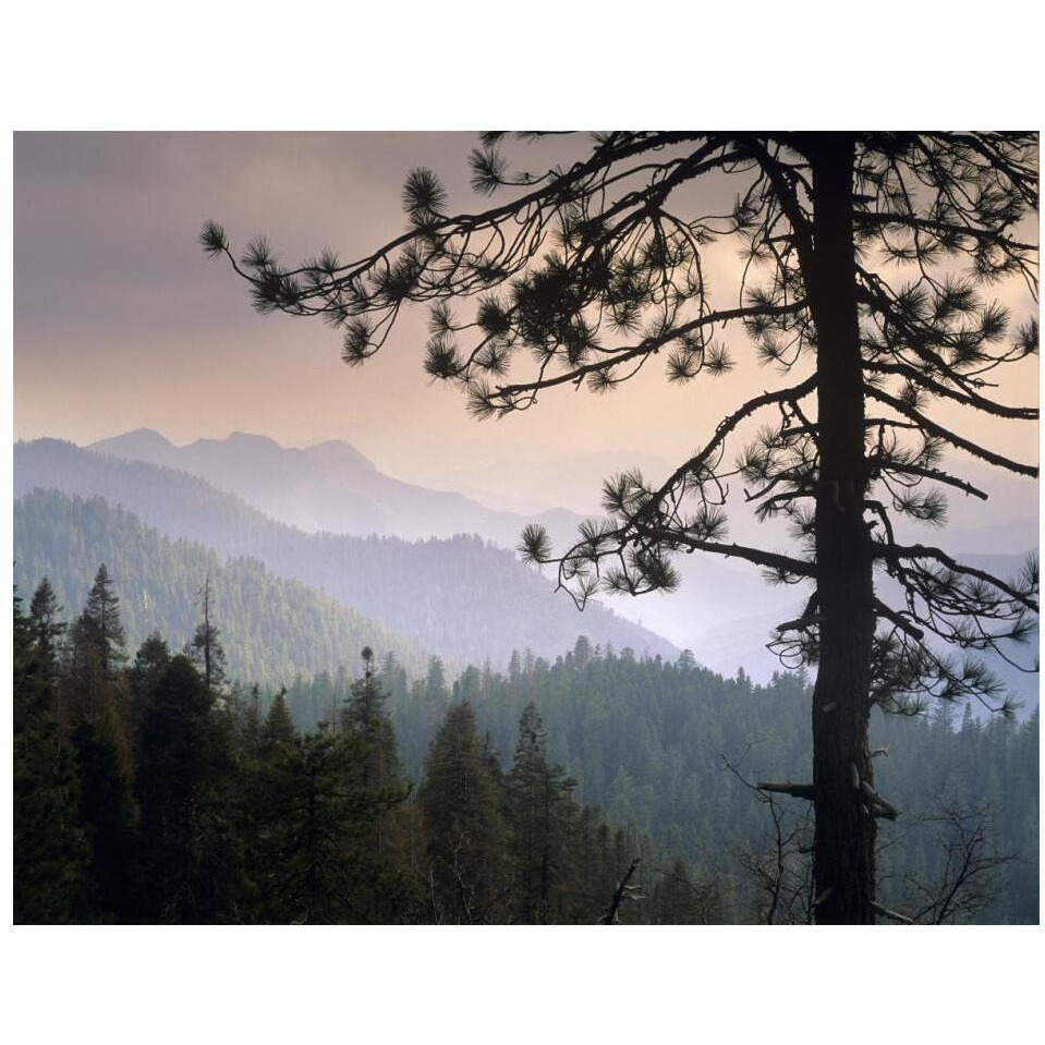 View over foothills to the west from Kings Canyon National Park, California-Paper Art-18&quotx14"