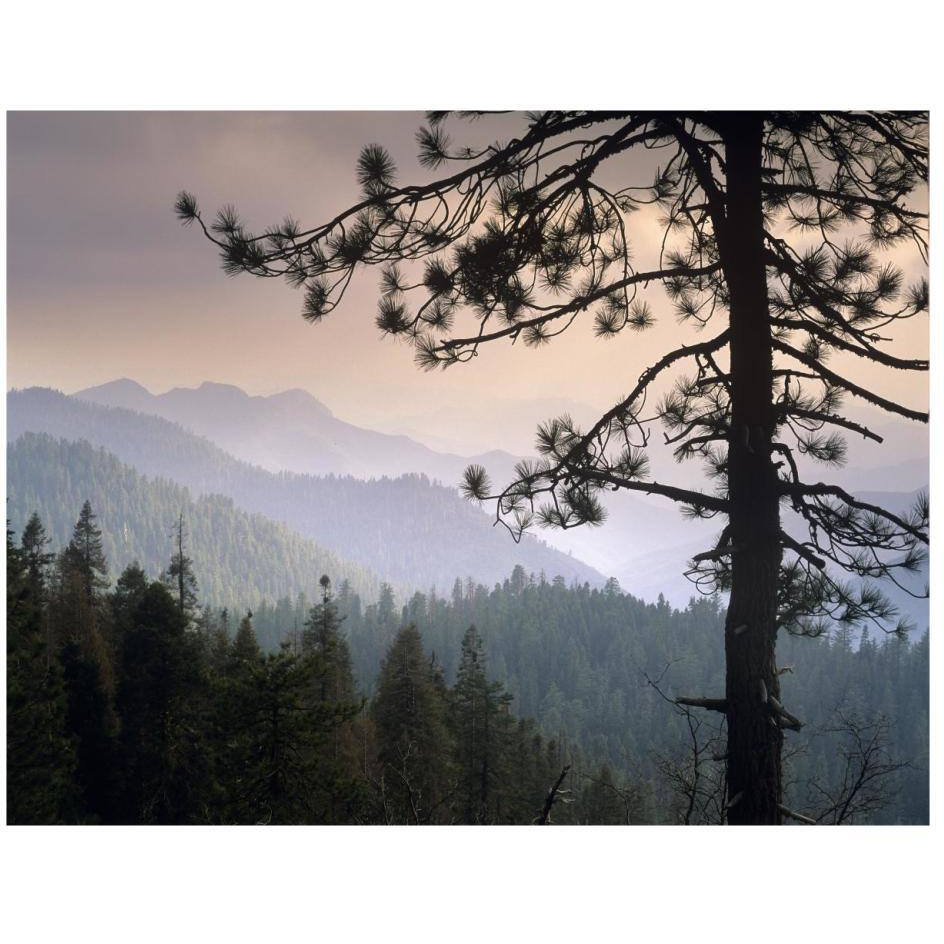 View over foothills to the west from Kings Canyon National Park, California-Paper Art-26&quotx20"