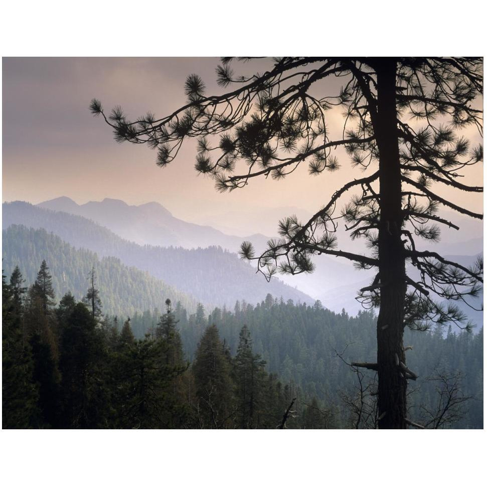 View over foothills to the west from Kings Canyon National Park, California-Paper Art-50&quotx38"
