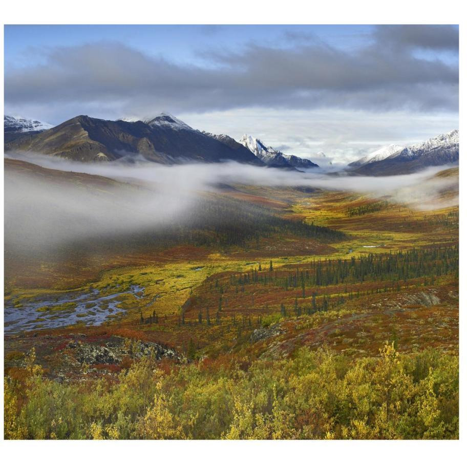 Fog over tundra, Tombstone Range, Tombstone Territorial Park, Yukon, Canada-Paper Art-18&quotx16.56"