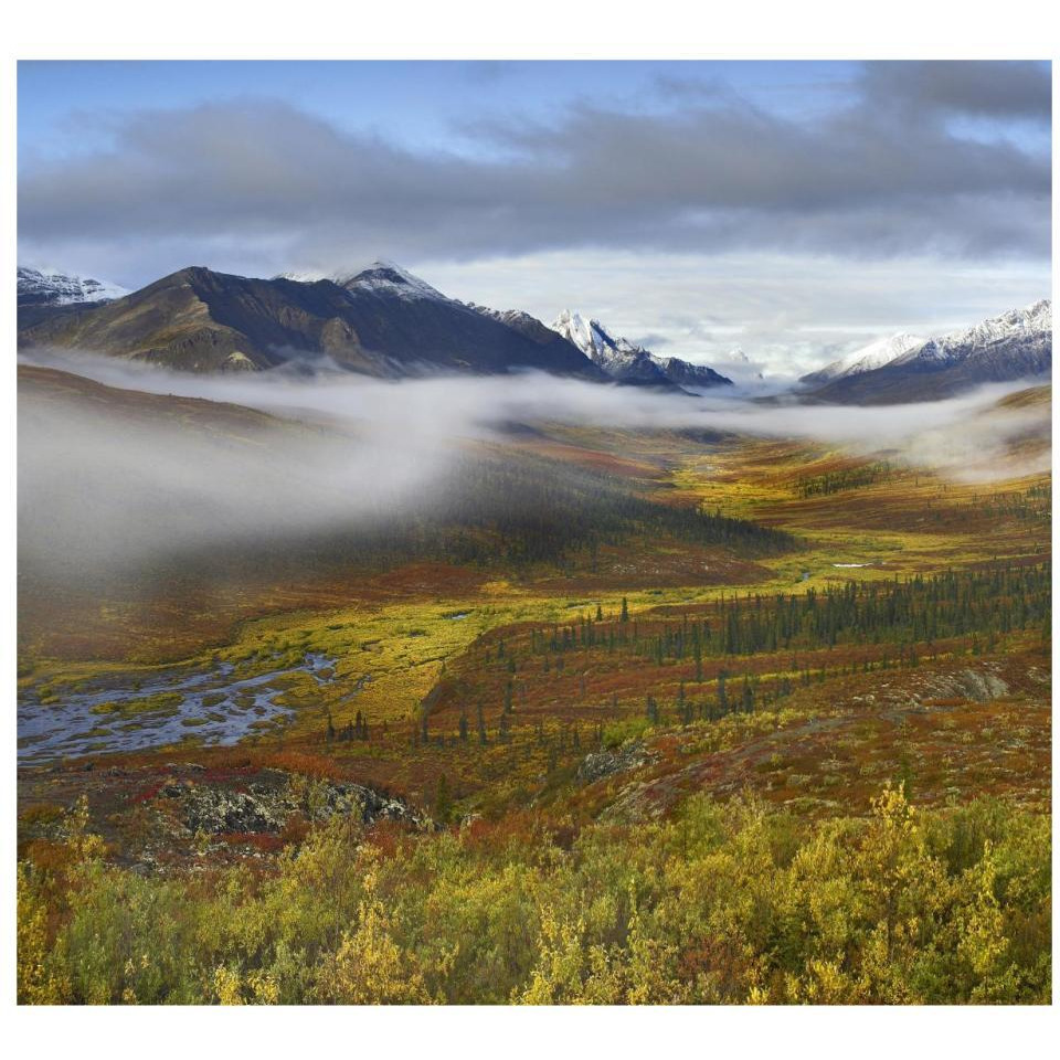 Fog over tundra, Tombstone Range, Tombstone Territorial Park, Yukon, Canada-Paper Art-32&quotx29.3"