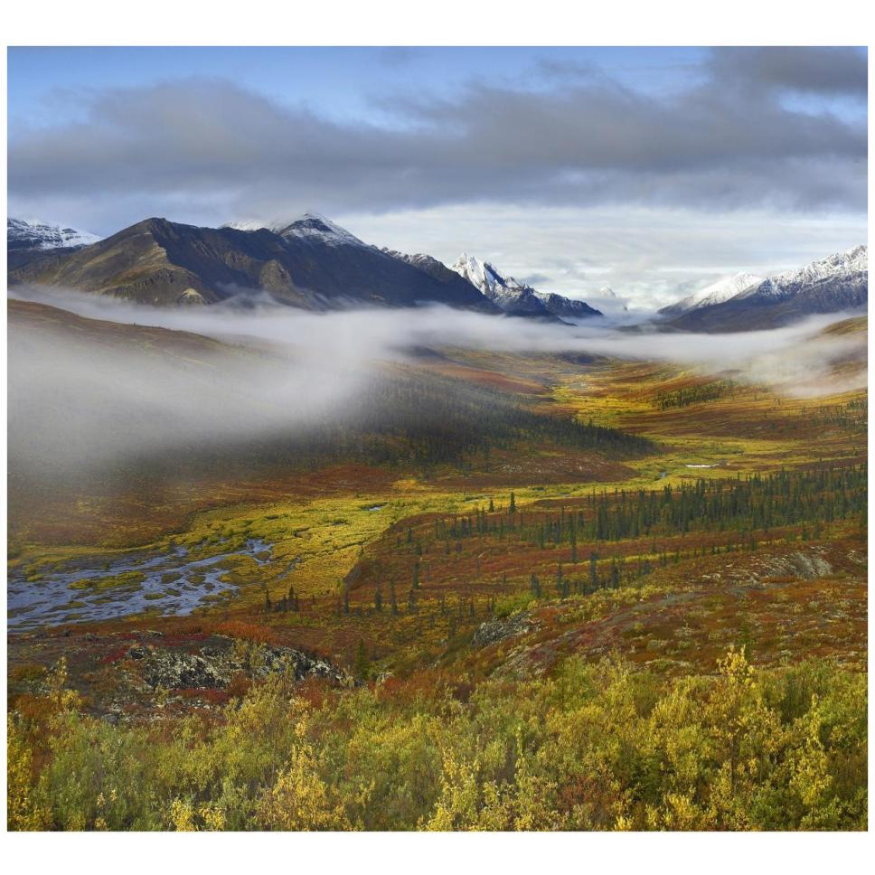 Fog over tundra, Tombstone Range, Tombstone Territorial Park, Yukon, Canada-Paper Art-42&quotx38.4"