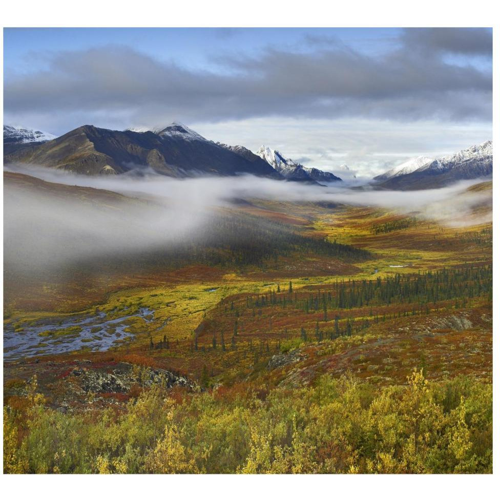 Fog over tundra, Tombstone Range, Tombstone Territorial Park, Yukon, Canada-Paper Art-46&quotx42.04"