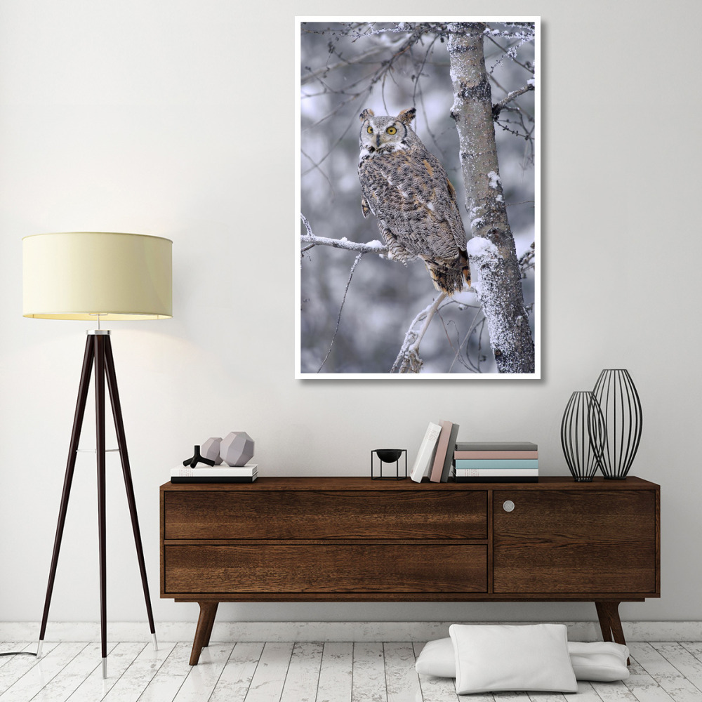 Great Horned Owl perched in tree dusted with snow, British Columbia, Canada-Paper Art-42&quotx62"