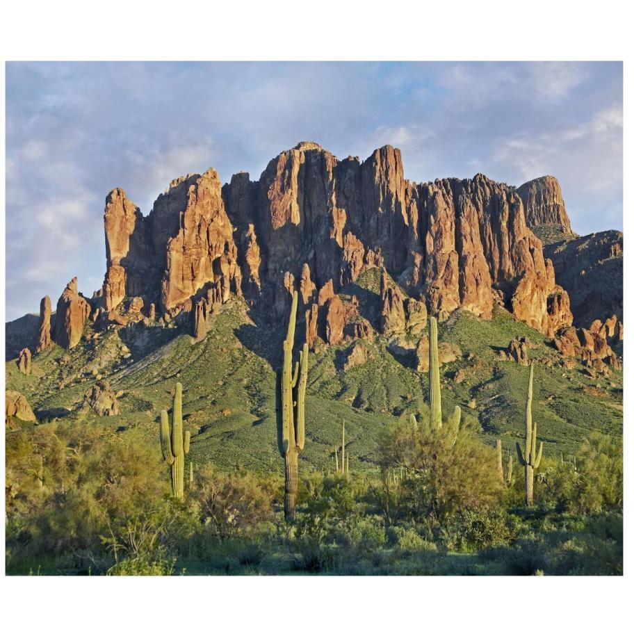 Saguaro cacti and Superstition Mountains, Lost Dutchman State Park, Arizona-Paper Art-18&quotx15.28"