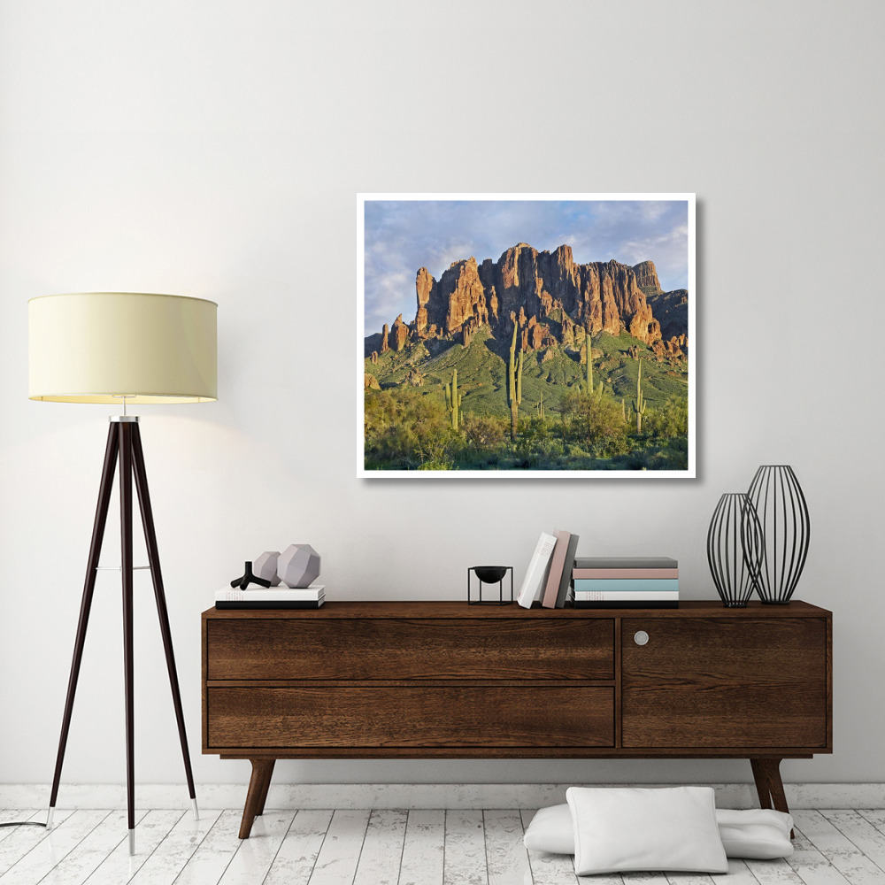 Saguaro cacti and Superstition Mountains, Lost Dutchman State Park, Arizona-Paper Art-46&quotx38.52"