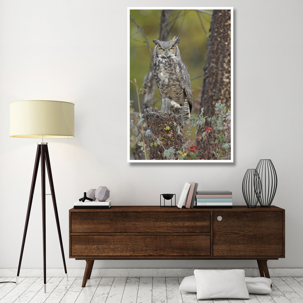 Great Horned Owl in its pale form perching on snag, British Columbia, Canada-Paper Art-42&quotx62"