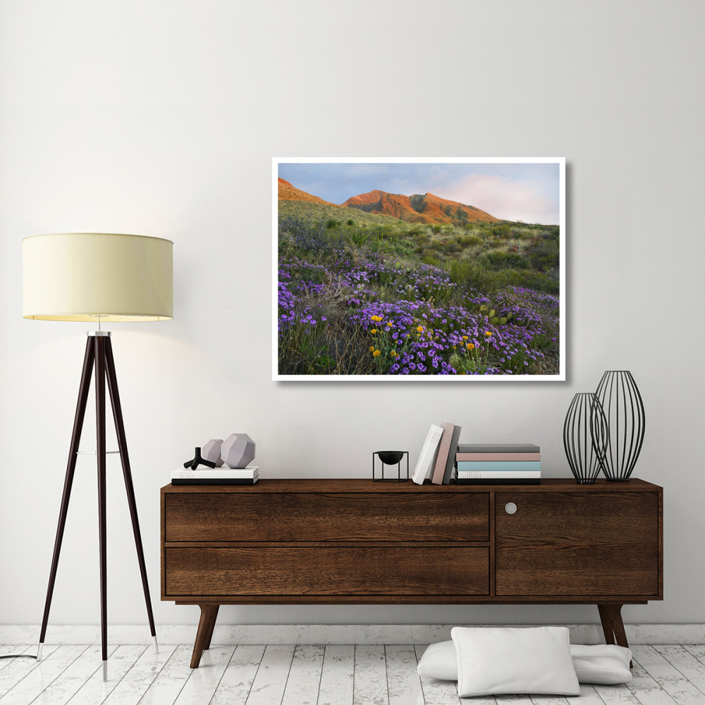 Herb of the Cross at Franklin Mountains State Park, Chihuahuan Desert, Texas-Paper Art-50&quotx38"