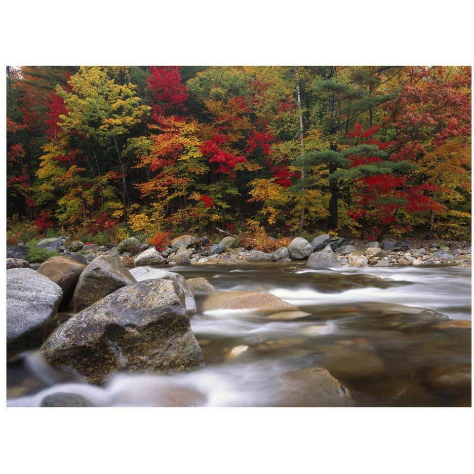 Wild river in eastern hardwood forest, White Mountains National Forest, Maine-Paper Art-18&quotx14"