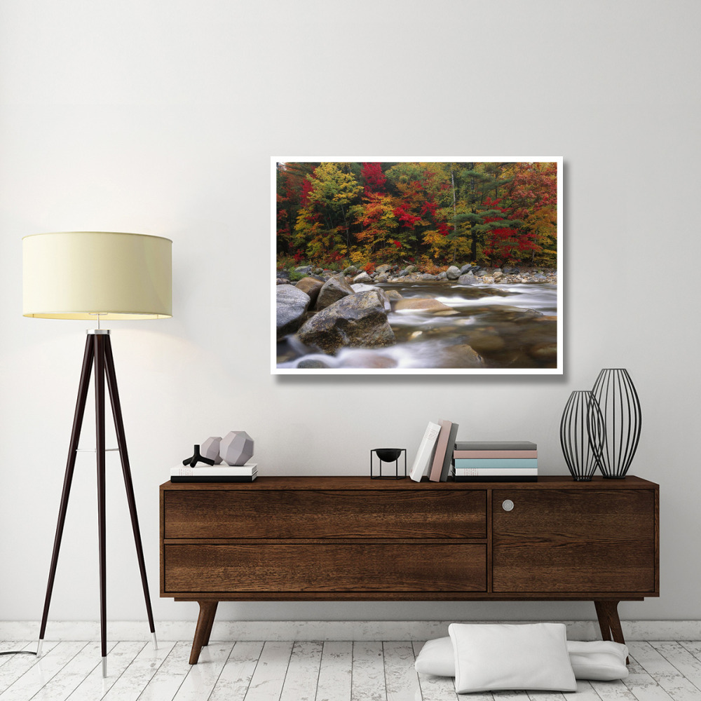 Wild river in eastern hardwood forest, White Mountains National Forest, Maine-Paper Art-50&quotx38"
