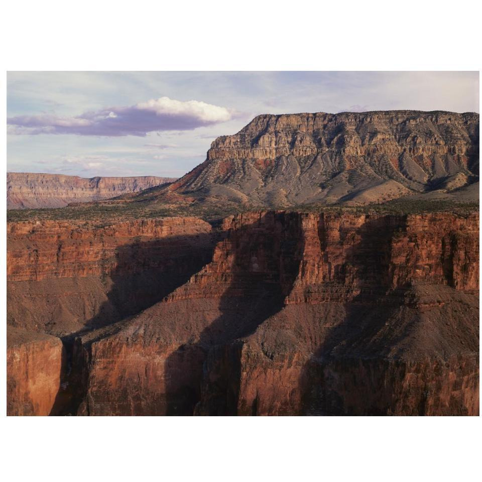 Grand Canyon seen from Toroweep Overlook, Grand Canyon National Park, Arizona-Paper Art-18&quotx14"
