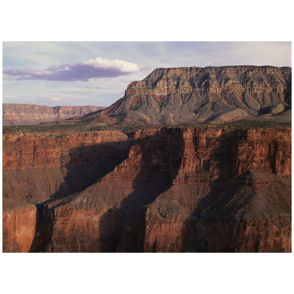 Grand Canyon seen from Toroweep Overlook, Grand Canyon National Park, Arizona-Paper Art-42&quotx32"