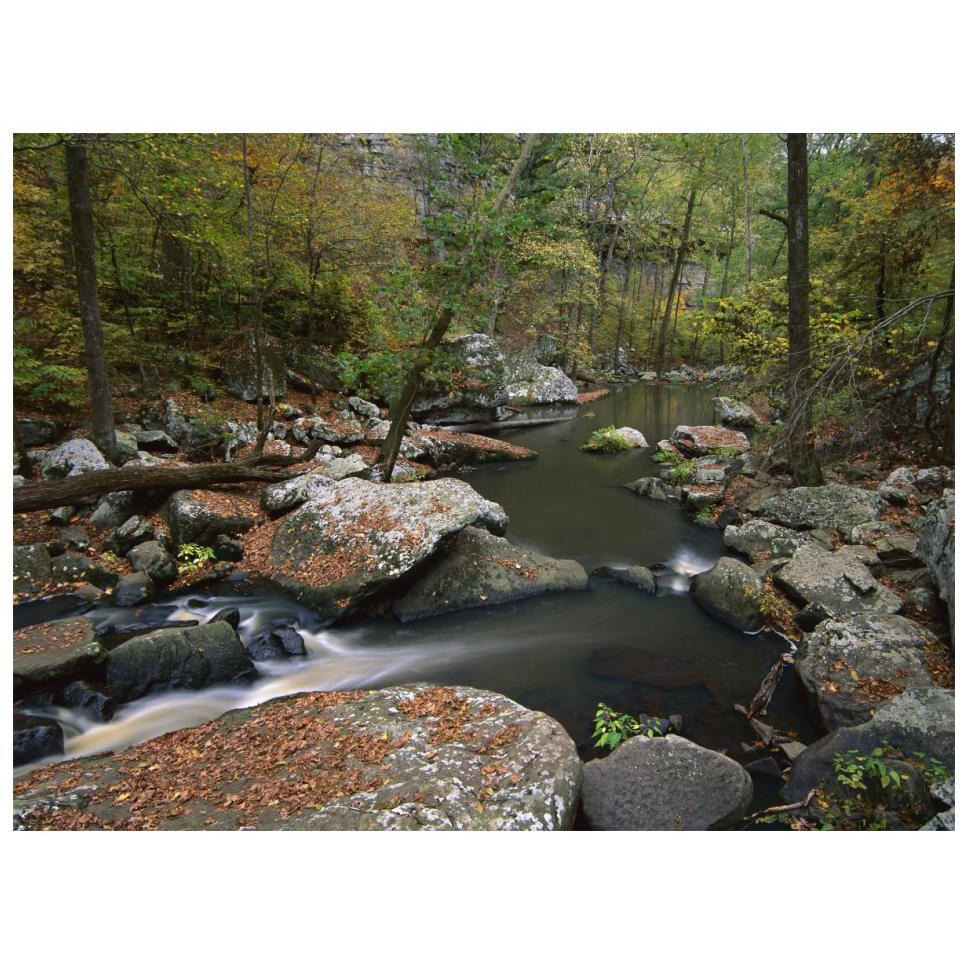 Cedar Creek flowing through deciduous forest, Petit Jean State Park, Arkansas-Paper Art-18&quotx14"