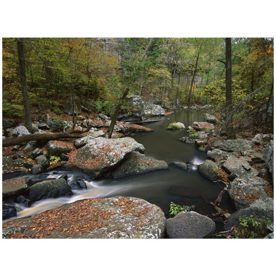 Cedar Creek flowing through deciduous forest, Petit Jean State Park, Arkansas-Paper Art-42&quotx32"