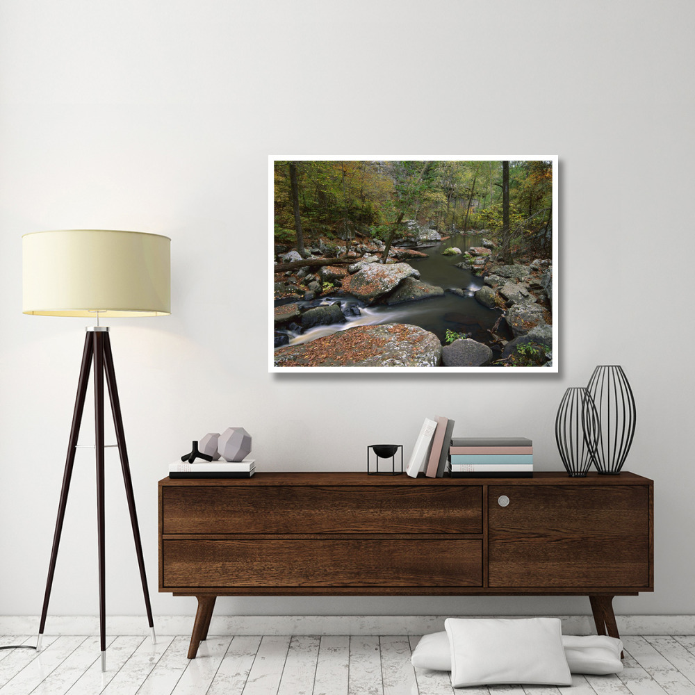 Cedar Creek flowing through deciduous forest, Petit Jean State Park, Arkansas-Paper Art-50&quotx38"