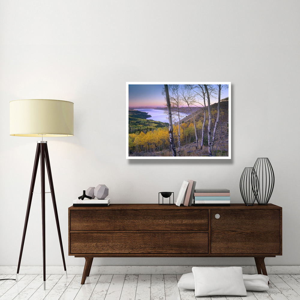 Aspen forest overlooking Fremont Lake, Bridger-Teton National Forest, Wyoming-Paper Art-42&quotx32"