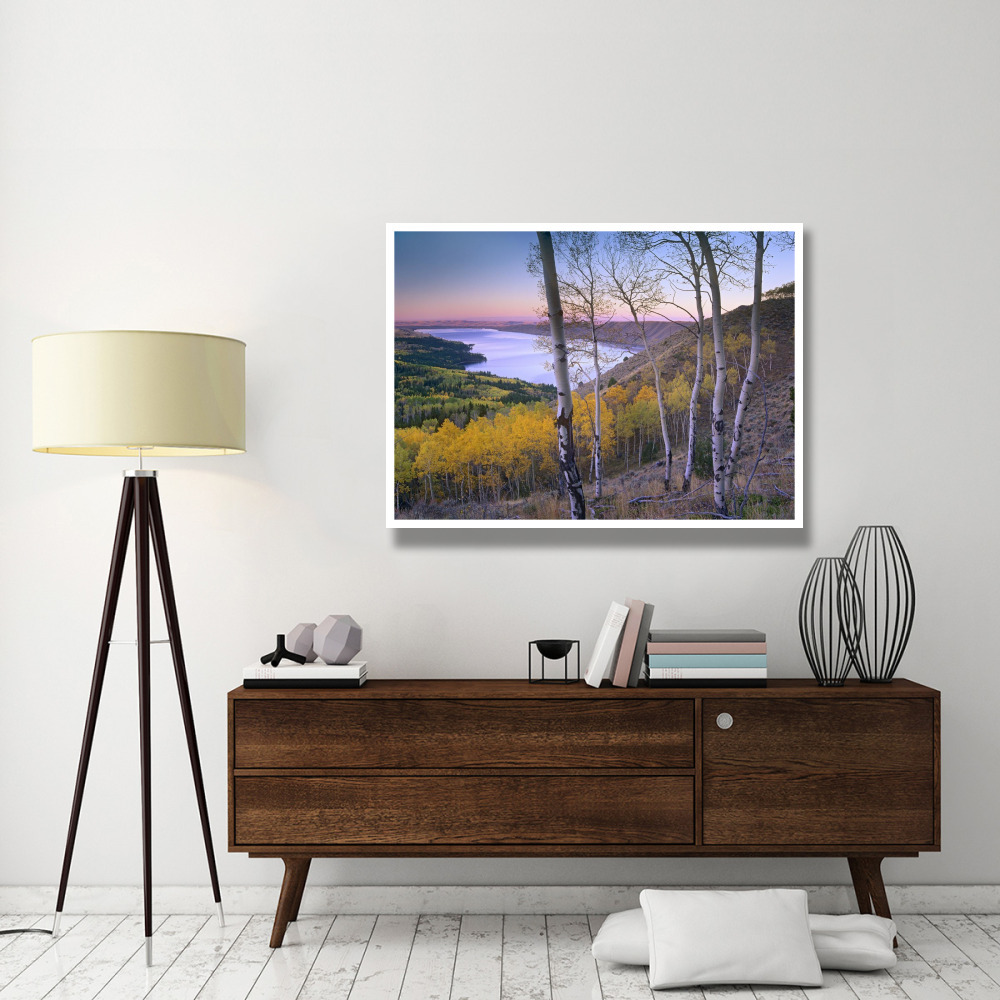 Aspen forest overlooking Fremont Lake, Bridger-Teton National Forest, Wyoming-Paper Art-50&quotx38"