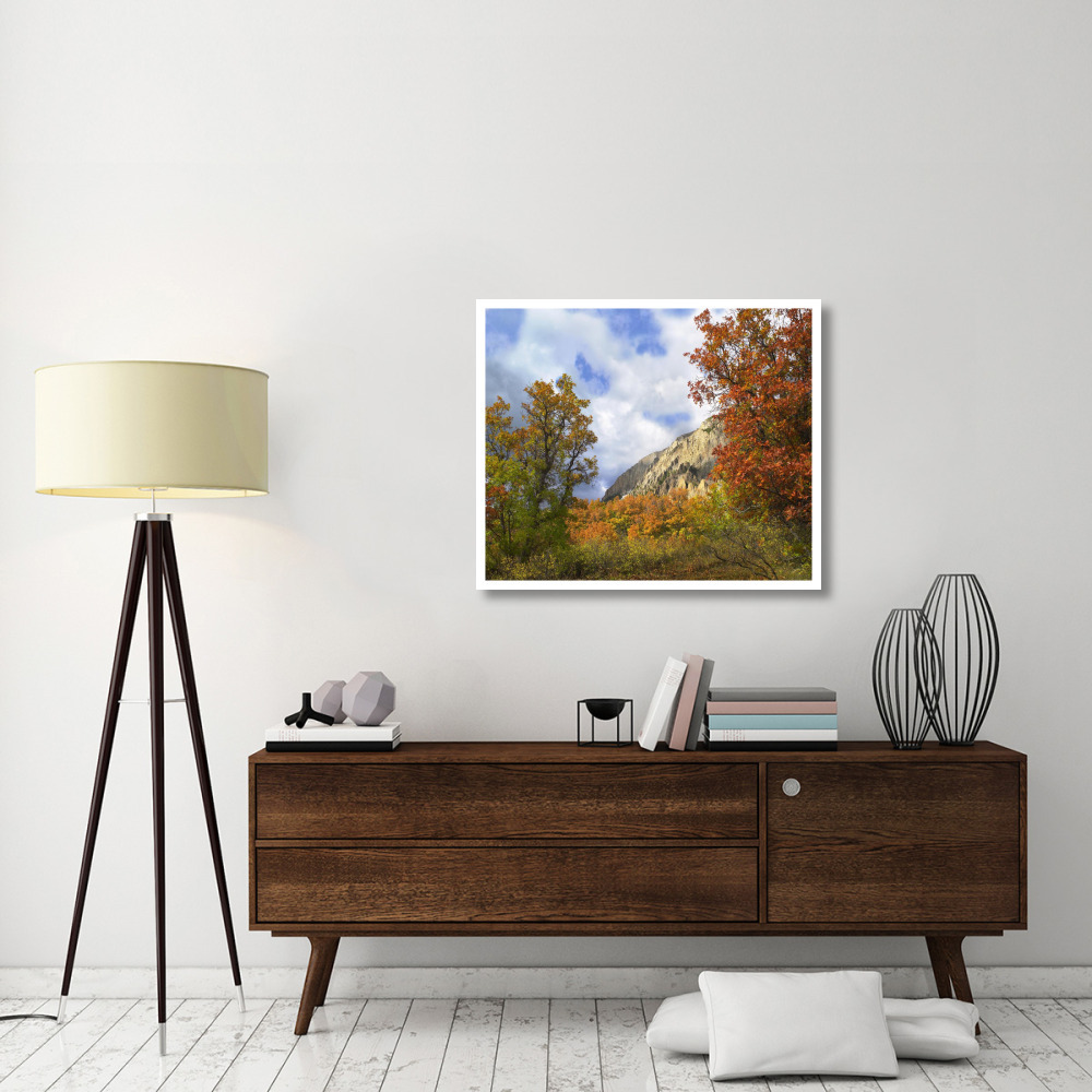 Trees and shrubs in autumn, Marcellina Mountain, Raggeds Wilderness, Colorado-Paper Art-38&quotx31.88"
