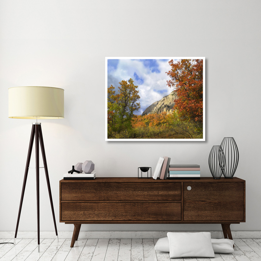 Trees and shrubs in autumn, Marcellina Mountain, Raggeds Wilderness, Colorado-Paper Art-46&quotx38.52"
