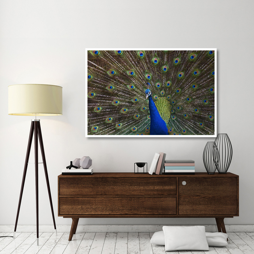 Indian Peafowl male with tail fanned out in courtship display, native to Asia-Paper Art-62&quotx42"