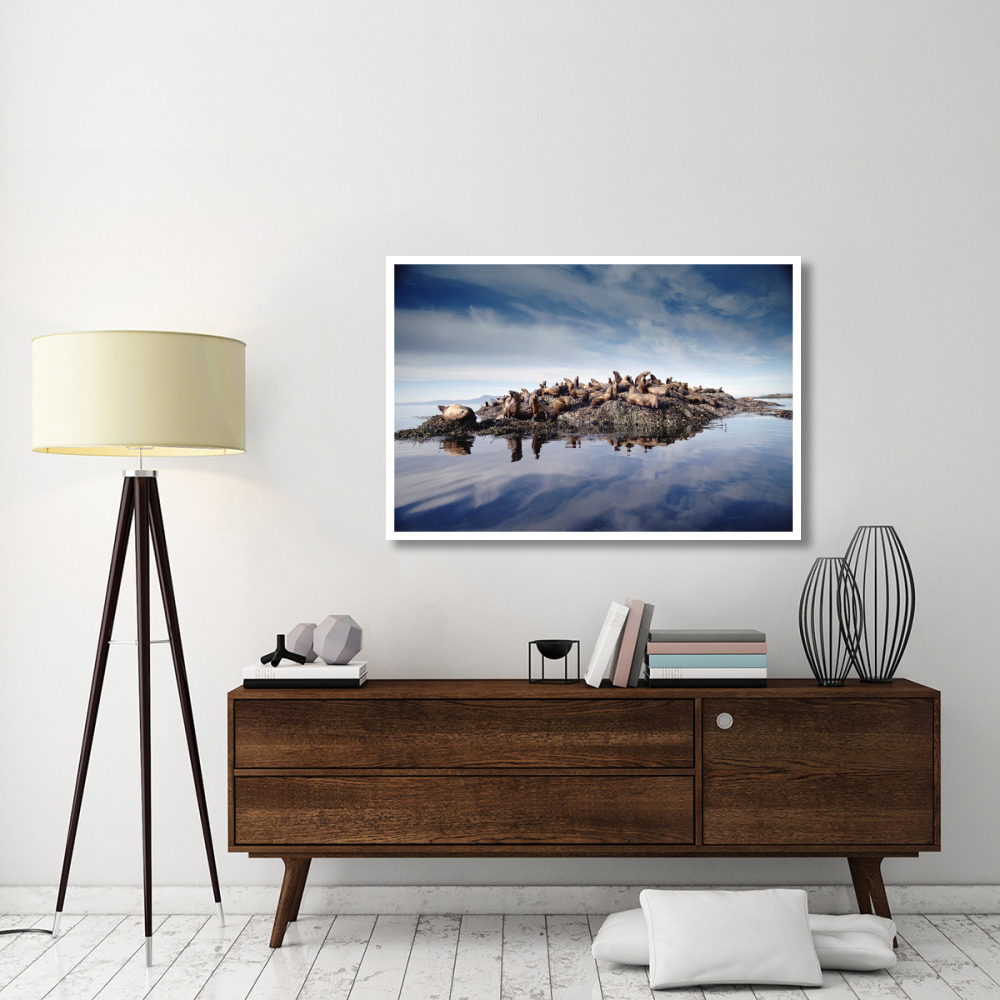Steller's Sea Lion group hauled out on coastal rocks, Brothers Island, Alaska-Paper Art-50&quotx34"
