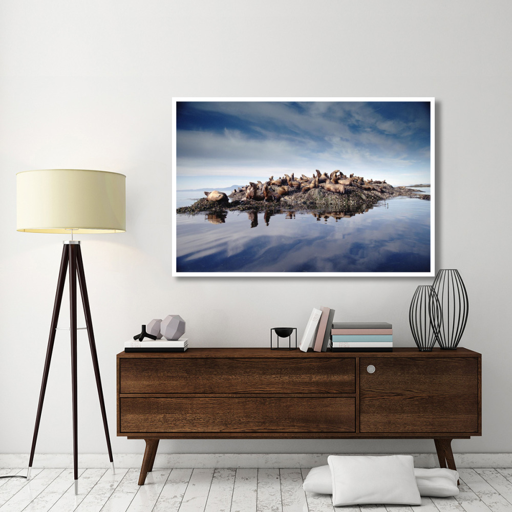 Steller's Sea Lion group hauled out on coastal rocks, Brothers Island, Alaska-Paper Art-62&quotx42"