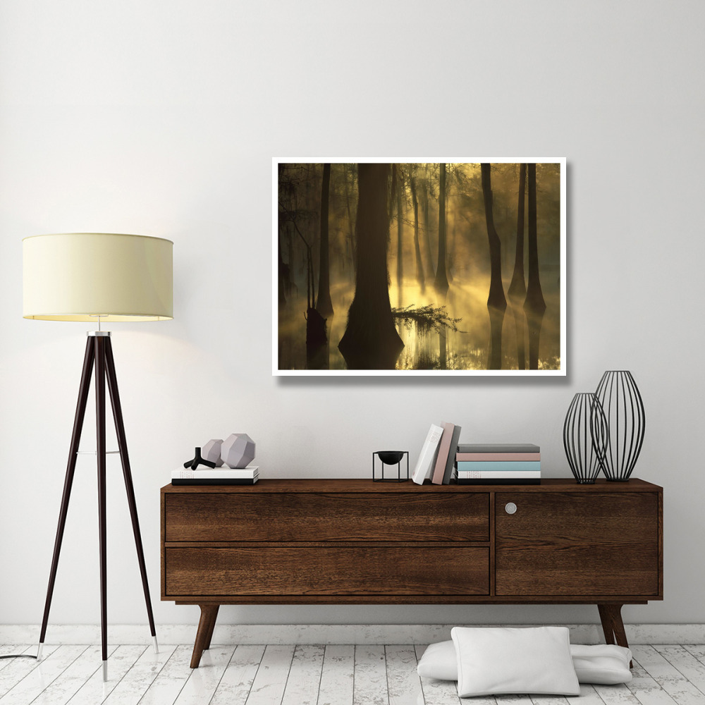 Bald Cypress grove in freshwater swamp at dawn, Lake Fausse Pointe, Louisiana-Paper Art-50&quotx38"